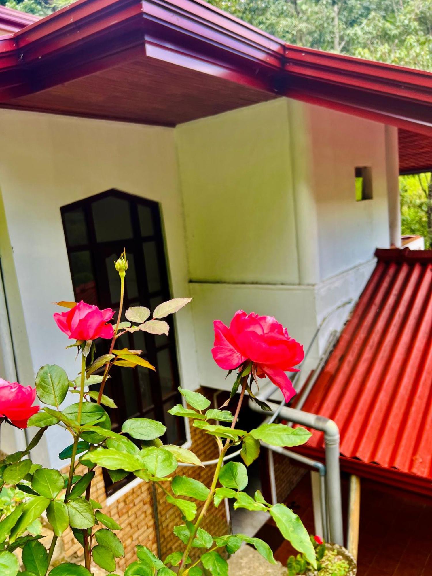 Pineview Lodge Ella Εξωτερικό φωτογραφία